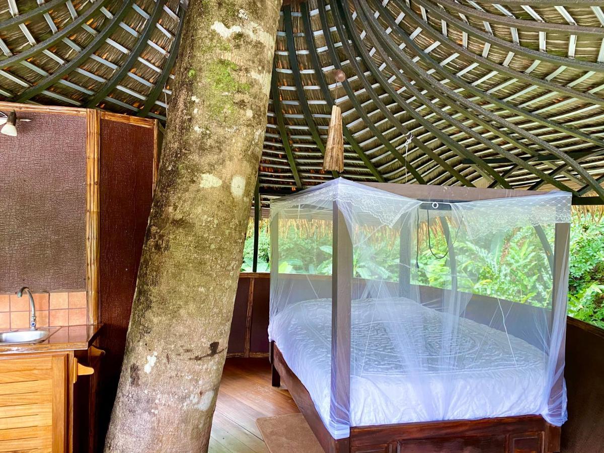 Cabanas Rio Encantado Alto Boquete Eksteriør billede
